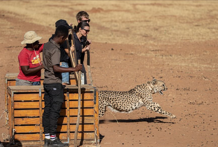 A career in conservation often begins with a deep passion for protecting the environment and wildlife.